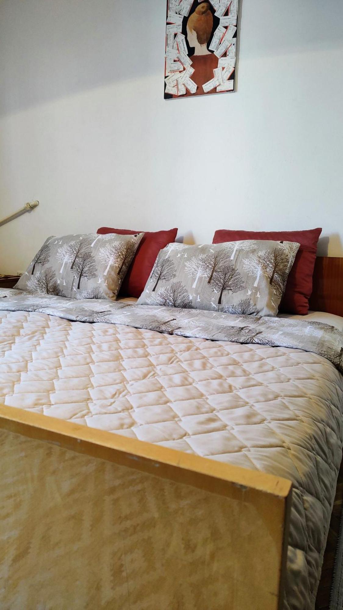 Digital Nomad Comfy Apartment,Foot Mountain Vodno And Millennium Cross,19 Min By Walk To Cener,Free Parking Skopje Extérieur photo