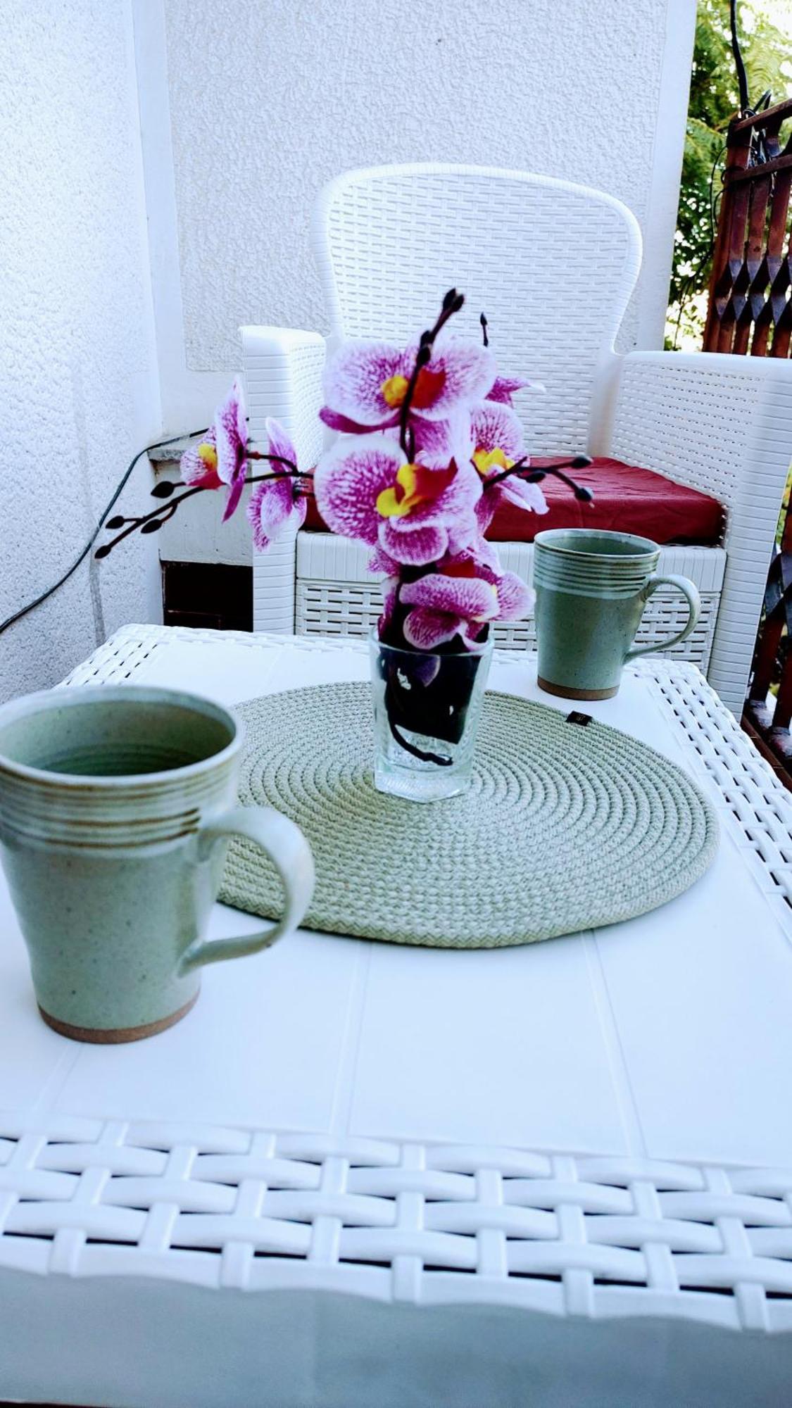 Digital Nomad Comfy Apartment,Foot Mountain Vodno And Millennium Cross,19 Min By Walk To Cener,Free Parking Skopje Extérieur photo
